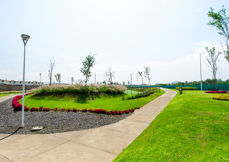 Cómo aprovechar los servicios y amenidades de Tréboles Residencial