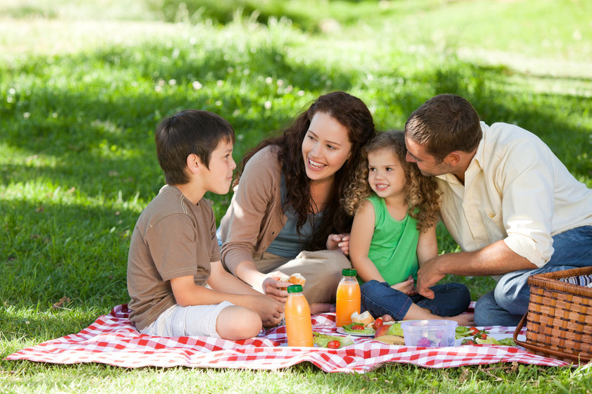 Beneficios de tener una zona de picnic dentro del desarrollo
