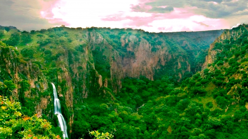 Explorando los puntos de interés al comprar una casa en Tréboles